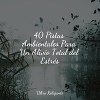 Divagando En Claridad - Academia de Música para Massagem e Relaxamento & Musica para Dormir Dream House & Canciones De Cuna Para Dormir Bebes