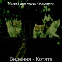Музыка (Кошки) - Музыка для кошек настроения