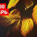 Топ 100 октябрь 2017 от Muzmo