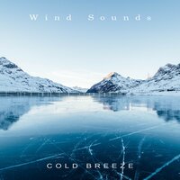 Natural Meditation - Wind Sounds