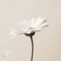 This Love - NORRA