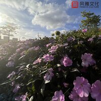 奔向宇宙 - 一只千纸鹤