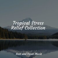 Ballad of Kisses - Deep Sleep & Spa & Yoga Music