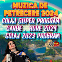 Cele Mai Frumoase Melodii Lautaresti 2024 - MIHAI DE LA CIOCANESTI & Neluta Bucur & George Nicoloiu & SORINEL DE LA PLOPENI & Coco de la Slatina & IONUT BAU