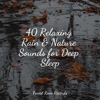 Forest, Wind, Heavy - Relaxing Spa Music & Classical Study Music & The White Noise Zen & Meditation Sound Lab