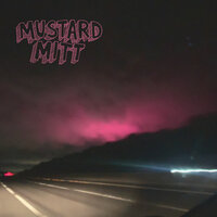 Thanks - Mustard Mitt