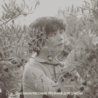 Мечты (Изучение) - Высококлассные Музыка для учебы