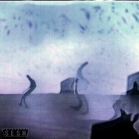 the human - Cat Soup