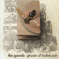 January 6 - The Gourds
