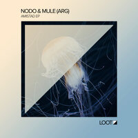 Amistad - Nodo & Mule (ARG)