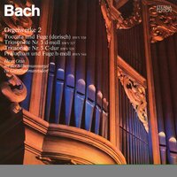 Trio Sonata for Organ No. 5 in C Major, BWV 529: I. Allegro - Hans Otto & Johann Sebastian Bach