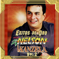 Al Ritmo de Mi Violín - Nelson Kanzela