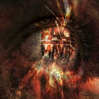 Hall of shame - Face The Maybe