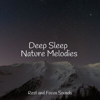 Fresh Mountain Breeze - Relaxing Nature Music & Deep Sleep Music Experience & Easy Sleep Music