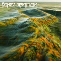 Звуки степи - Лечебная музыка & счастливый камин