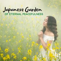 Waves of Body and Mind Comfort - Zen Meditation Music Academy
