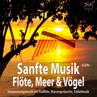 Ruhige Musik Flöte und Vögel - Träumen am Ufer, Schlafmusik - Torsten Abrolat & Max Entspannung & SyncSouls