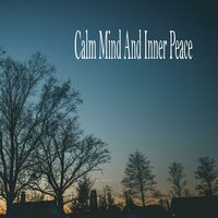 Calm Waves - Relaxing music & Serenidad y Armonía & Ruido Perfecto
