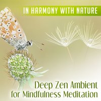 Balance Between Body & Mind - Lovely Nature Music Zone