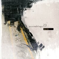 Damaged - Assemblage 23