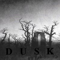 Element of Symmetry - Dusk