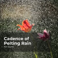 Euphonious Rainfall - Rain Sounds & Rain Storm Sample Library & Natural Rain Sounds for Sleeping