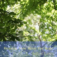Refreshing Music - Chilled Kitten
