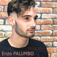 Si putesse purtà 'o sole - Enzo Palumbo