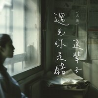 这辈子遇见你是错 - 大美