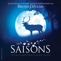 Le lynx dans la brume - Bruno Coulais