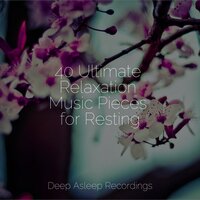 Sweeping Sunlight - Nature Sounds Nature Music & Mother Nature Sound FX & The Rainforest Collective
