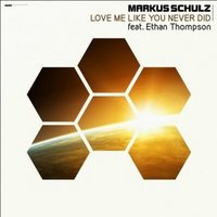 Love Me Like You Never Did - Markus Schulz