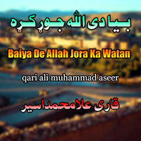 Da Zaina Pah Wano De Satam - qari ali muhammad aseer