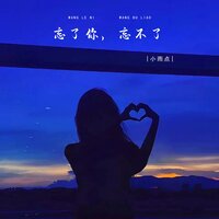 忘了你，忘不了 - 小雨点