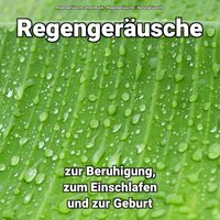 Zen im Mondlicht - Regengeräusche ohne Musik & Regengeräusche & Naturgeräusche