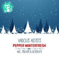 Check This Ladies - Nopopstar