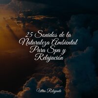 Aire De Misterio - Unidad de música zen relajante & El hada de las canciones de cuna & Relajante Musica