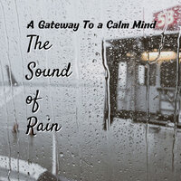 Tranquil Ticket - The Rain Factory & Rain Wonder & Rain Sound Experience