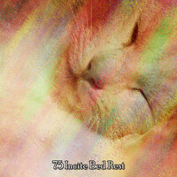 Restorative Slumber - Sounds Of Nature Relaxation