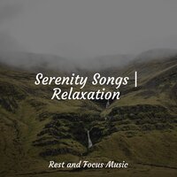 Soothing Symphony - Relax Meditation Sleep & Meditation Music Club & Study Concentration
