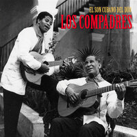 Los Barrios De Santiago - Los Compadres