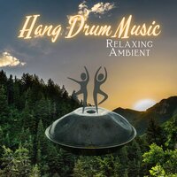 Acoustic Guitar (Art of Hang) with Relaxing Crickets - Hang Drum