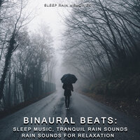 Dreaming of Summer - Sleep Rain Memories