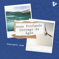 Estado de Ser Superior - Sonolento Jose & Mantra para Meditar & Masajes Spa