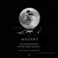 Allegro Moderato -  String Quintet - Classical Hits & Schola Camerata