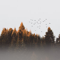 Sessions by the Fireside - Relajante & Guided Meditation & Mindfulness Mediation World