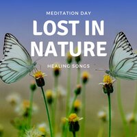 Indigenous Flute - Meditation Day