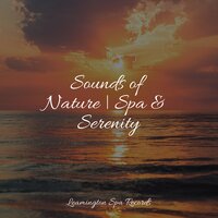 Hypnotic Relief - Sleep Recording Sounds & Rainfall & Binaural Beats Brainwave Entrainment