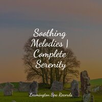 Sea Whispers - Natural Sample Makers & Easy Sleep Music & Sons da Natureza