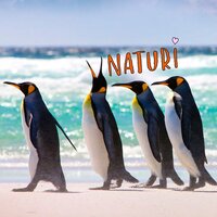 VNATURI - blago white